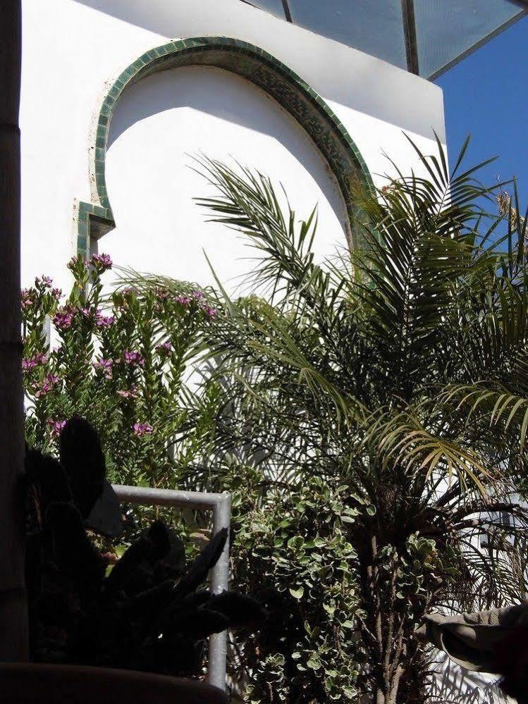 Riad Marco Andaluz ساليه المظهر الخارجي الصورة